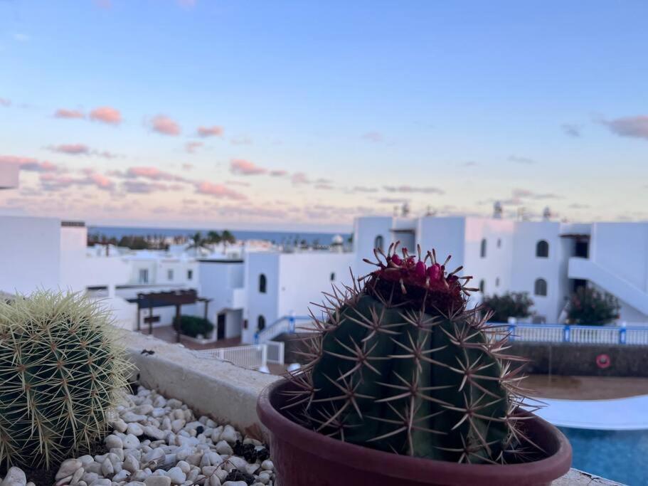 Apt 360º Panoramic View Коста-Тегисе Экстерьер фото
